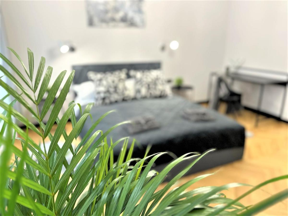 Luxury 100M2 Loft Design-Apartment At Wawel + Netflix Kraków Eksteriør billede